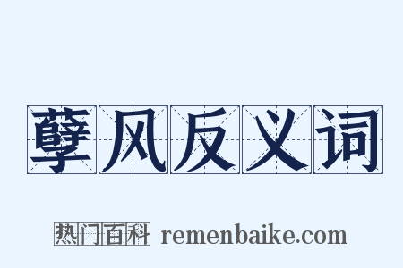 孽风反义词是什么意思的图片